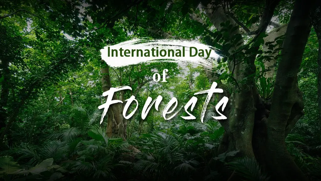 Commemorating World Forestry Day 2024: Fostering Innovation for Forest Conservation